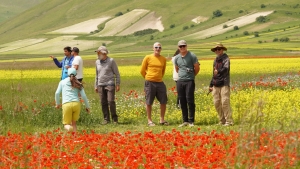Gruppo di parapendio a Castelluccio